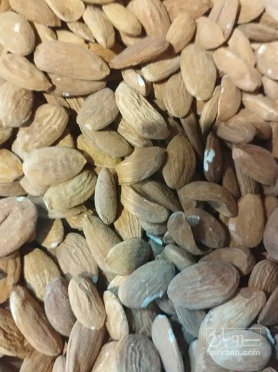 فروش بادام
