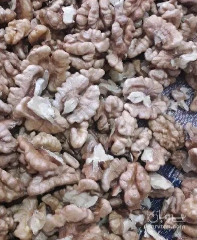 فروش گردو مغز سالم