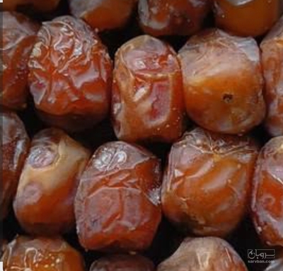 فروش خرماربی