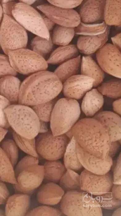 فروش بادام سنگی
