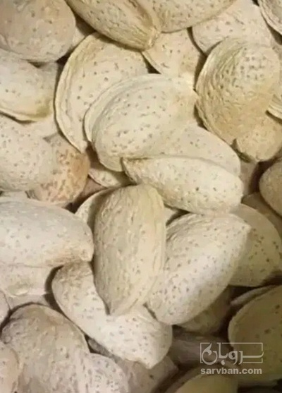 فروش بادام کاغذی