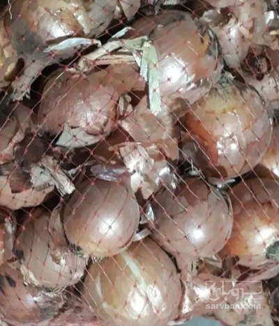 فروش پیاز زرد