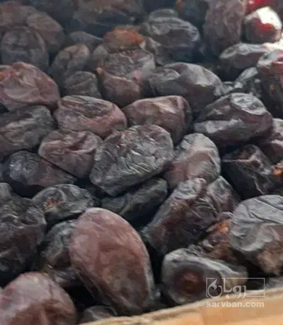 فروش خرما کبکاب