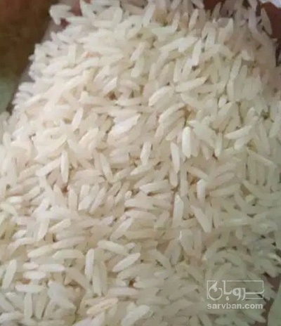 فروش برنج فجر
