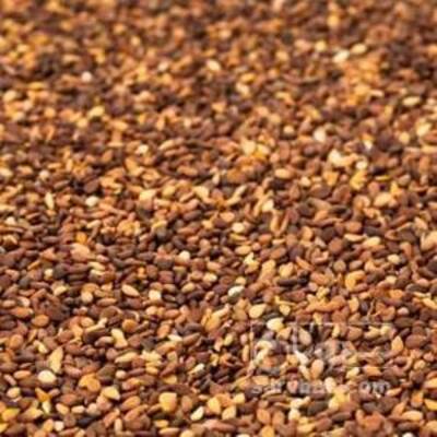 فروش کنجد قهوه ای