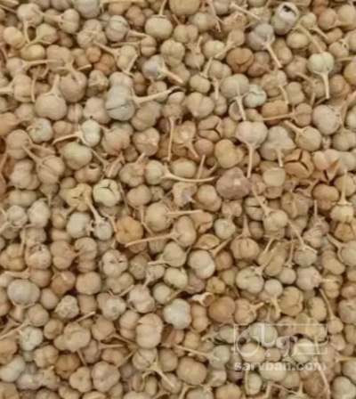 فروش  اسفند (گیاه‌ دارویی)