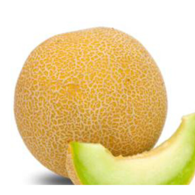فروش ملون