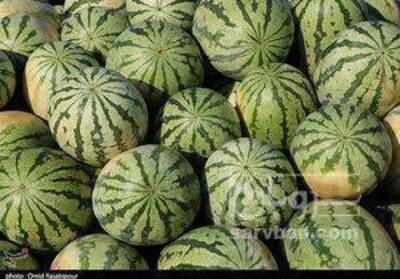فروش هندوانه