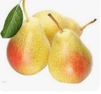 فروش گلابی اسپادانا