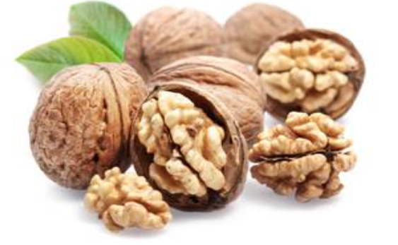 فروش گردو