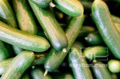 فروش خیار