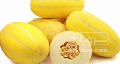 فروش خربزه