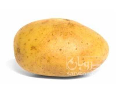 فروش سیب زمینی
