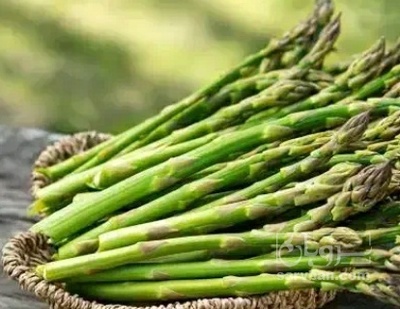 فروش مارچوبه