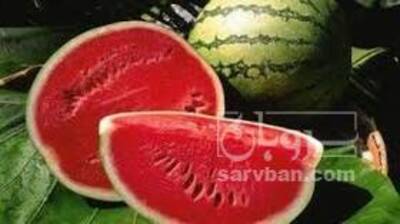 فروش هندوانه