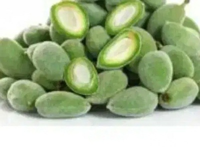 فروش چغاله بادام