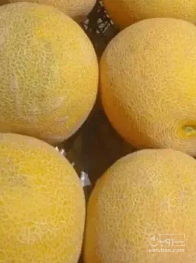 فروش ملون
