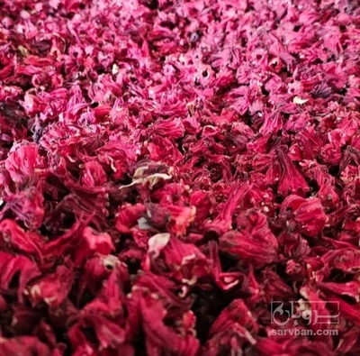 فروش چای ترش