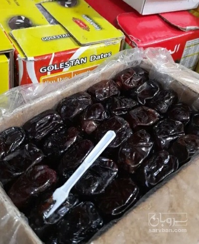 فروش خرما مضافتی