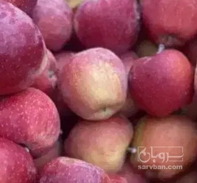 فروش سیب قرمز