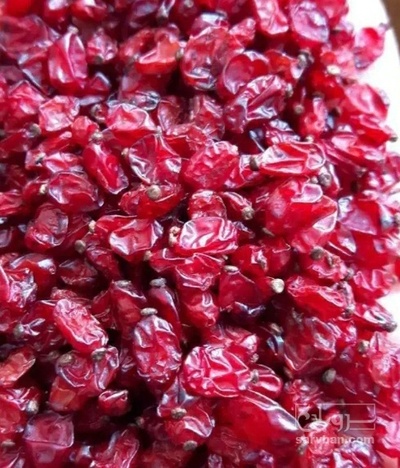 فروش زرشک زیرتالاری