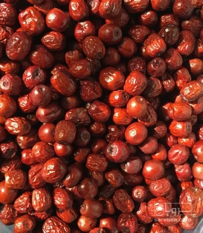 فروش عناب