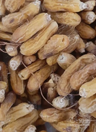 فروش خرما