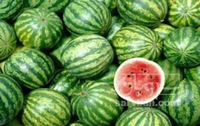فروش هندوانه