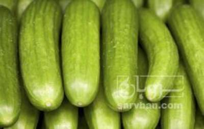 فروش خیار