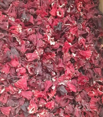 فروش چای ترش