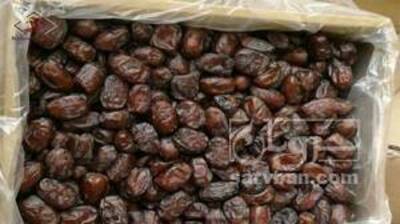 فروش خرما