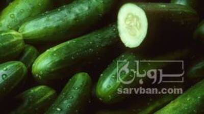 فروش خیار