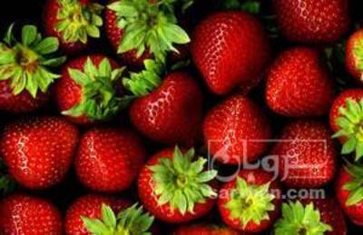 فروش توت فرنگی