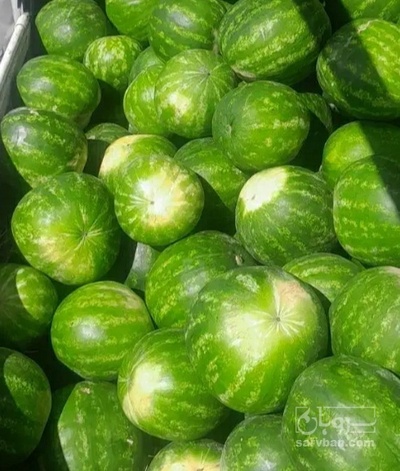 فروش هندوانه گرد