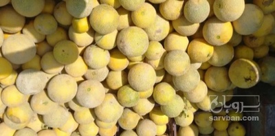 فروش ملون