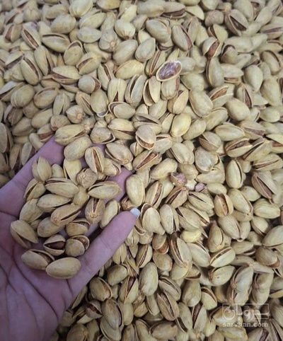 فروش پسته احمدی