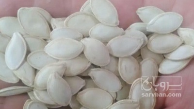 فروش تخمه  کدو بو داده