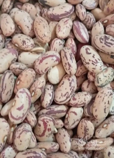 فروش لوبیا چیتی