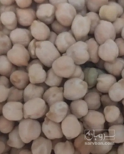 فروش نخود