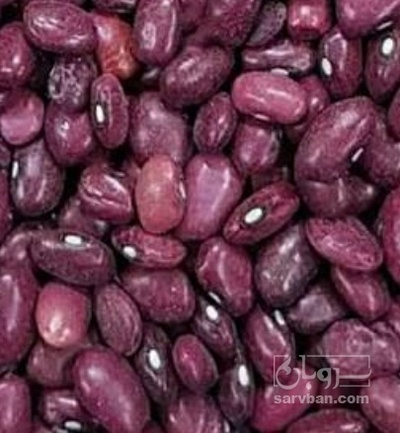 فروش لوبیا قرمز