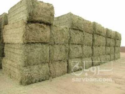 فروش یونجه