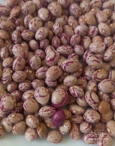 فروش لوبیا چیتی