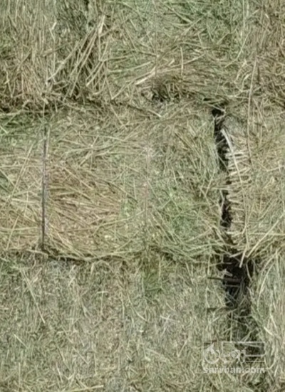 فروش یونجه