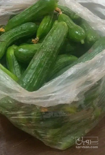 فروش خیار