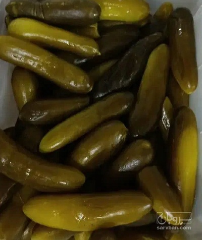 فروش خیار شور نول