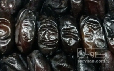فروش خرما مضافتی