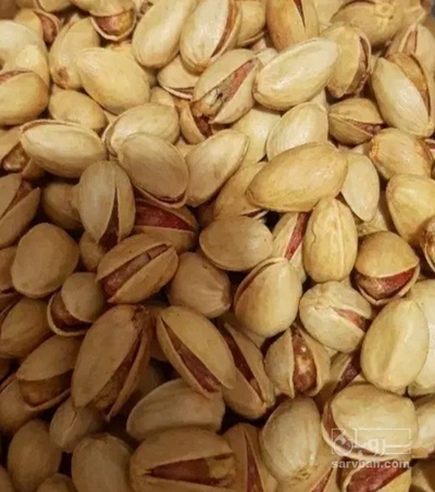 فروش پسته کله قوچی
