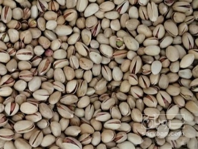 فروش پسته بادامی