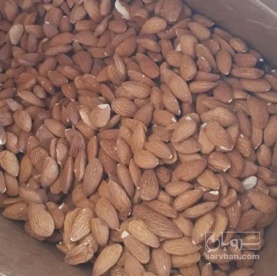 فروش مغز بادام درختی