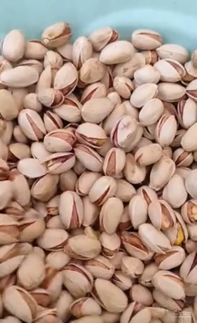 فروش پسته